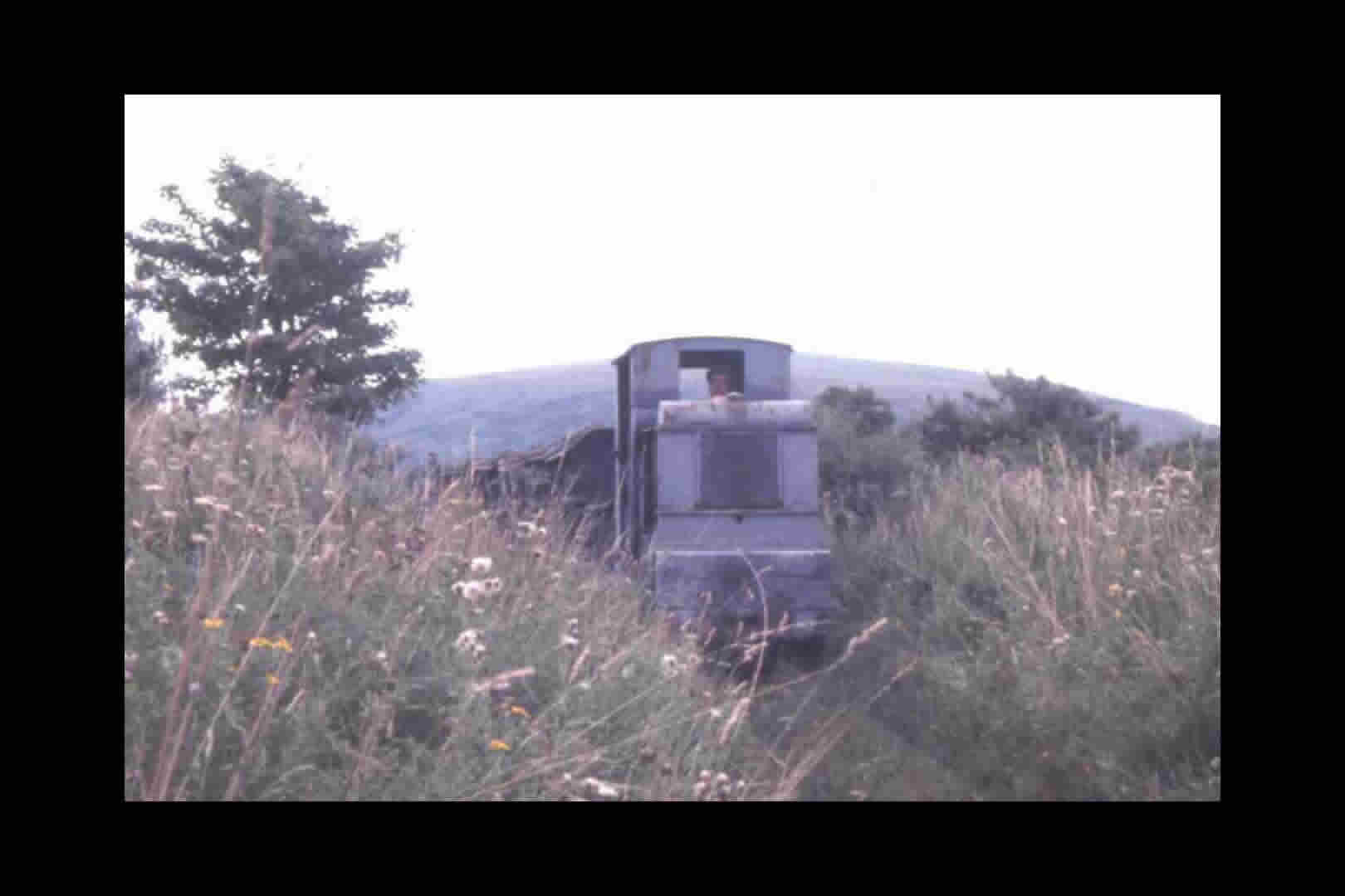 Narrow gauge lines at Corfe Castle 1960s